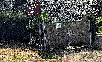 casa 10