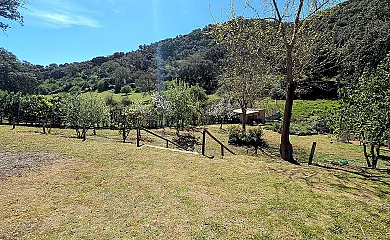 casa 13