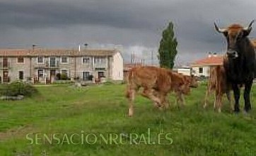 Casas Rurales las Las Virtudes en Torrefrades, Zamora