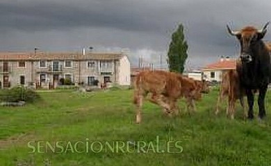 Casas Rurales las Las Virtudes en Torrefrades - Foto 1, Zamora