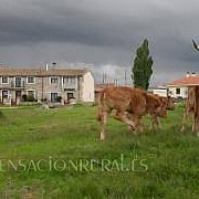Casas Rurales las Las Virtudes 001