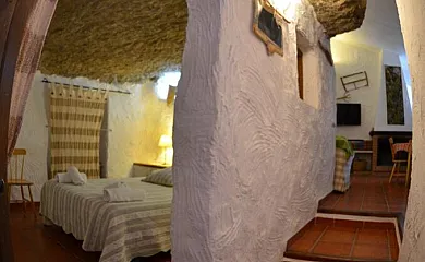 casa 19