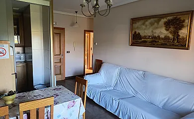 casa 15