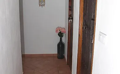 casa 7