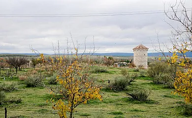 casa 52