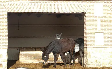 casa 54