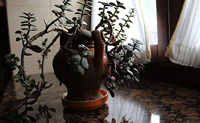 casa 6