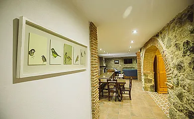 casa 10