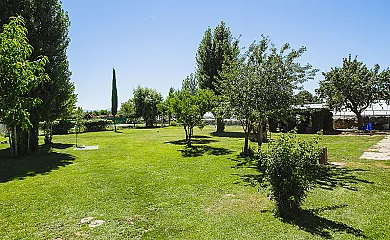 casa 20