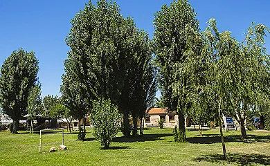 casa 9
