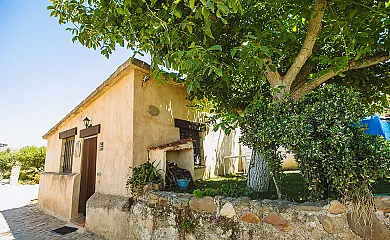 casa 13