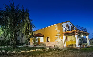 casa 11