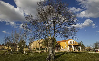 casa 15