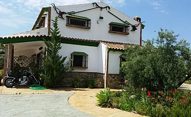 casa 15