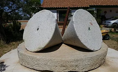 casa 19
