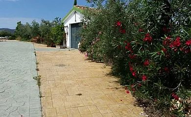 casa 20