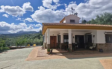 casa 11