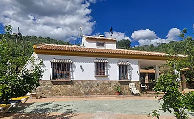 casa 16