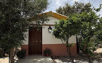 casa 35