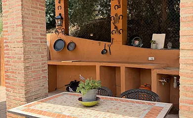 casa 36