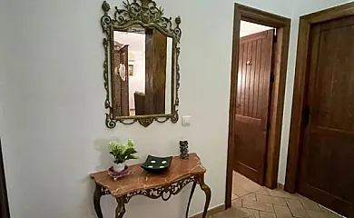 casa 15