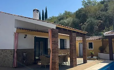 casa 31