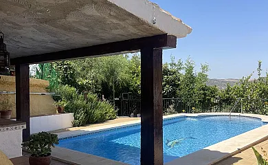 casa 44