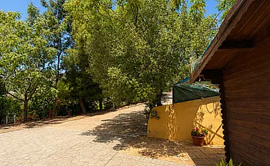 casa 45