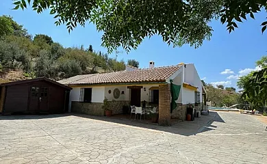 casa 53